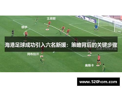 海港足球成功引入六名新援：策略背后的关键步骤